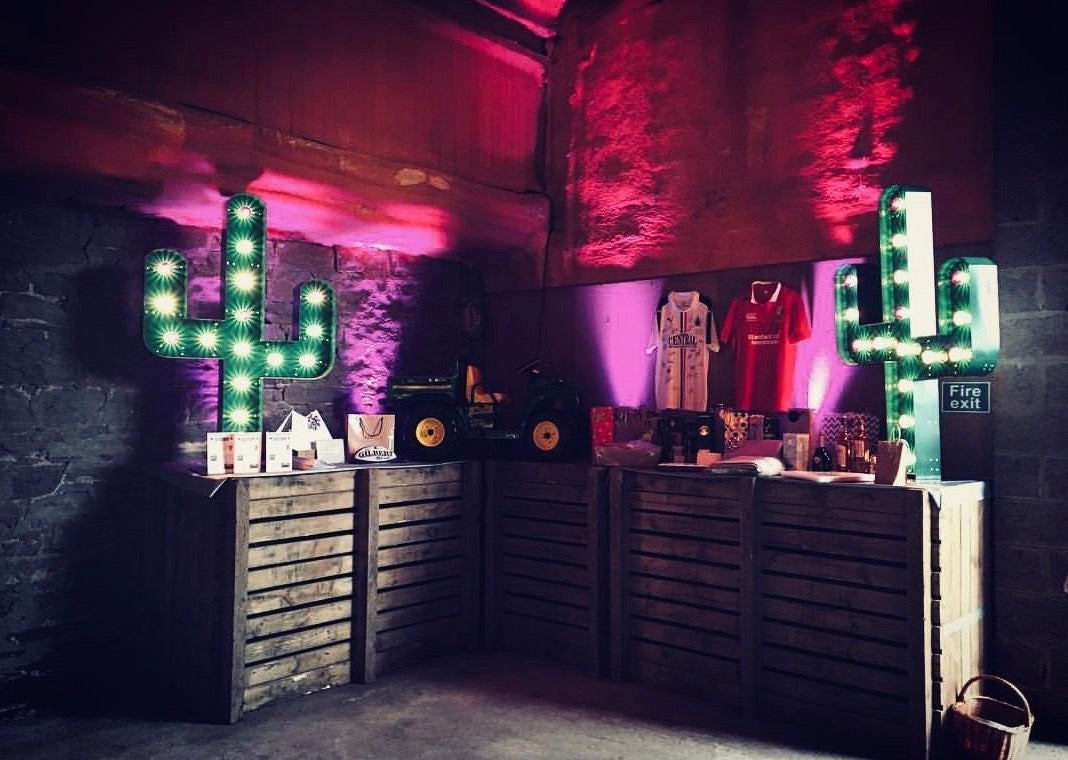 Light Up Cactus Hire for Events